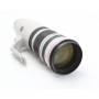 Canon EF 4,0/200-400 L IS USM mit Extender 1,4x (264337)