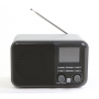 Dual DAB 51 Digitalradio (266220)