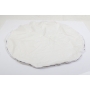 Aputure Light Dome 100 Parabolic Bowens Mount (274106)