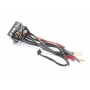 Hobby Wing BL-Regler Xerun XR10 Stock Spec 80A 2s (275636)