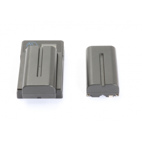 Neewer 2x Akku NP-F550 inkl. Ladegerät (276579)