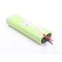 Torro 2000mAh 7,2V Ni-MH Akku und Ladegerät (277055)