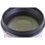 Canon EF 4,0/200-400 L IS USM mit Extender 1,4x (278203)