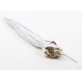 OEM Studio Blitz Schirm Gold (278691)