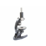 Carl Zeiss Jena Mikroskop (273805)