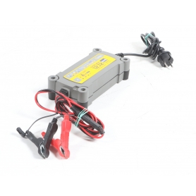 GYS Ladegerät GYSFLASH 12.12 (279879)