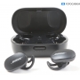 Bose QuietComfort Earbuds Black (281819)