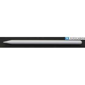 APPLE PENCIL PRO (283302)