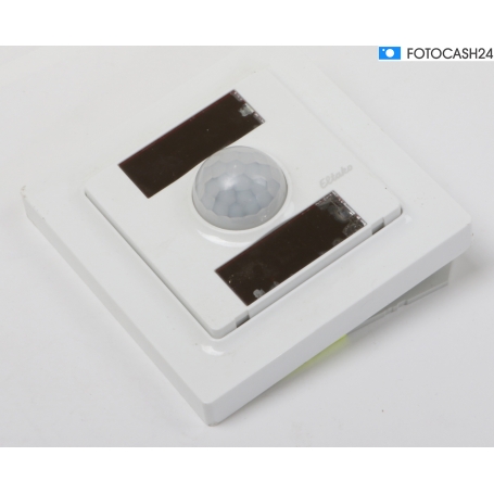 Funk -Bewegungs-Helligkeitssensor (284296)