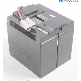 Beltrona RBC7 USV-Anlagen-Akku Spezial-Akku Batterie Blei-Vlies AGM für Marke APC 24V schwarz (287121)