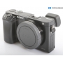 Sony Alpha 6000 (290481)
