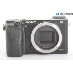 Sony Alpha 6000 (290482)