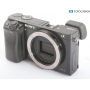 Sony Alpha 6000 (290482)