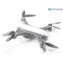 Reely GPS Drohne GeNii Mini (276143)