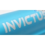INVICTUS Rohr / Stange für X7 Kabelloser Staubsauger Delux (291049)