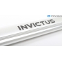 INVICTUS Rohr / Stange für ONE 3.0 Kabelloser Staubsauger (291059)