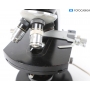 Carl Zeiss Mikroskop (291083)