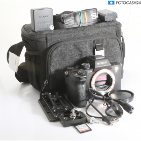 Sony Alpha 7s III (291569)