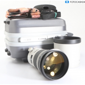 Canon EF 2,8/300 L IS USM II (293625)
