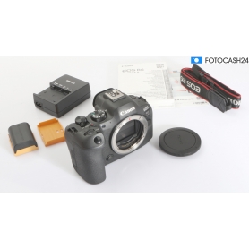 Canon EOS R6 Mark II (294218)